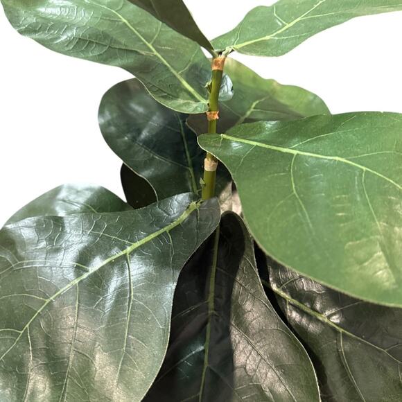 POTTERY BARN Small Faux Fiddle Leaf Fig Tree - Picture 9 of 9